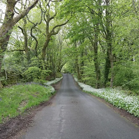 Rolo's Retreat Tatil Evi